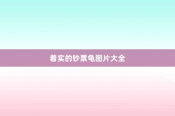 着实的钞票龟图片大全